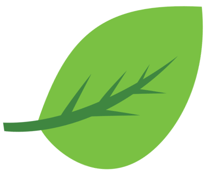 Pousse Vert